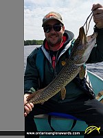 30.25" Northern Pike