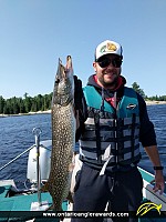 35.5" Northern Pike