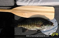23" Smallmouth Bass