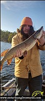 36.75" Northern Pike