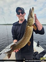 37.5" Northern Pike