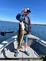 28" Walleye