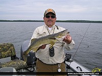 25" Walleye