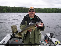 25" Walleye
