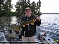 25.25" Walleye