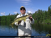 25" Walleye