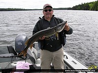 35" Northern Pike