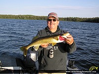 25.5" Walleye