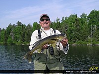 26" Walleye