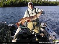 39" Northern Pike