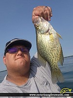 13" Black Crappie