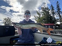 36" Muskie