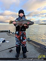 26.25" Rainbow Trout