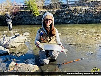 27.9" Rainbow Trout