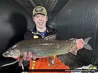 26" Whitefish