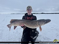 43" Northern Pike