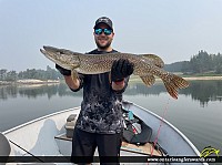 36.5" Northern Pike