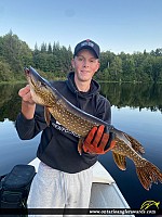 31" Northern Pike