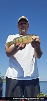 12.5" Yellow Perch