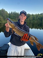 35" Northern Pike