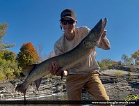 52" Muskie