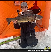 30.5" Walleye