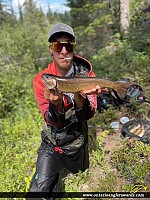 18.5" Brook/Speckled Trout