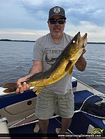 31" Walleye