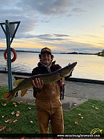 32" Northern Pike