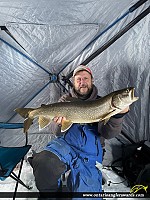 31" Lake Trout