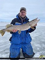 31" Northern Pike