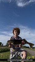 27" Walleye