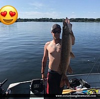 40.5" Northern Pike