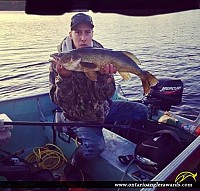 29.75" Walleye