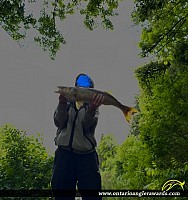 31" Walleye