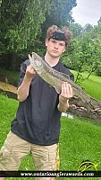 23" Rainbow Trout
