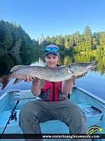 31" Northern Pike
