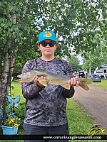 26.5" Walleye