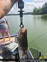 18" Smallmouth Bass