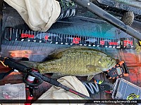 20.5" Smallmouth Bass