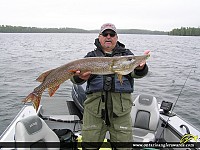 43" Northern Pike