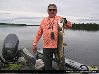 33.5" Northern Pike