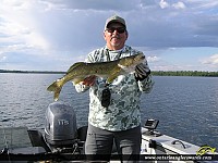 25.5" Walleye