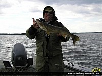 27" Walleye