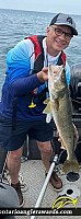 27.5" Walleye