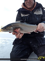 20.00" Splake caught on Mink Lake
