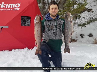 20" Splake caught on Long Lake