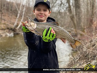 21" Splake caught on Lake Huron 