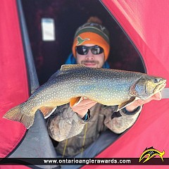23" Splake caught on Dog lake 