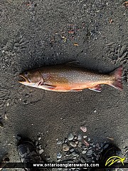 30" Brook/Speckled Trout caught on Nipigon River